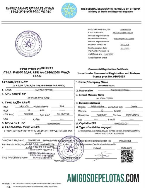 Certificado de registro comercial da Etiópia para impressão, modelo Word e PDF